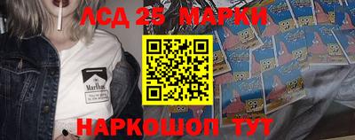 мдпв Гатчина